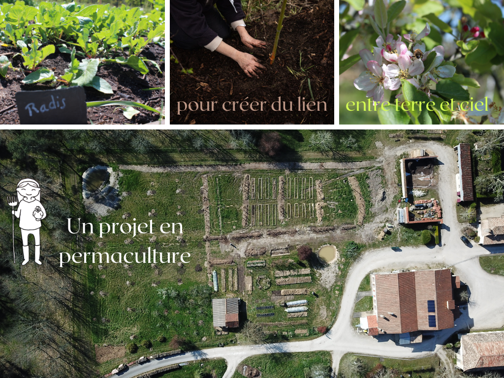 Un projet en permaculture