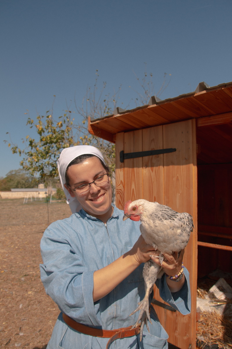 poules 2019