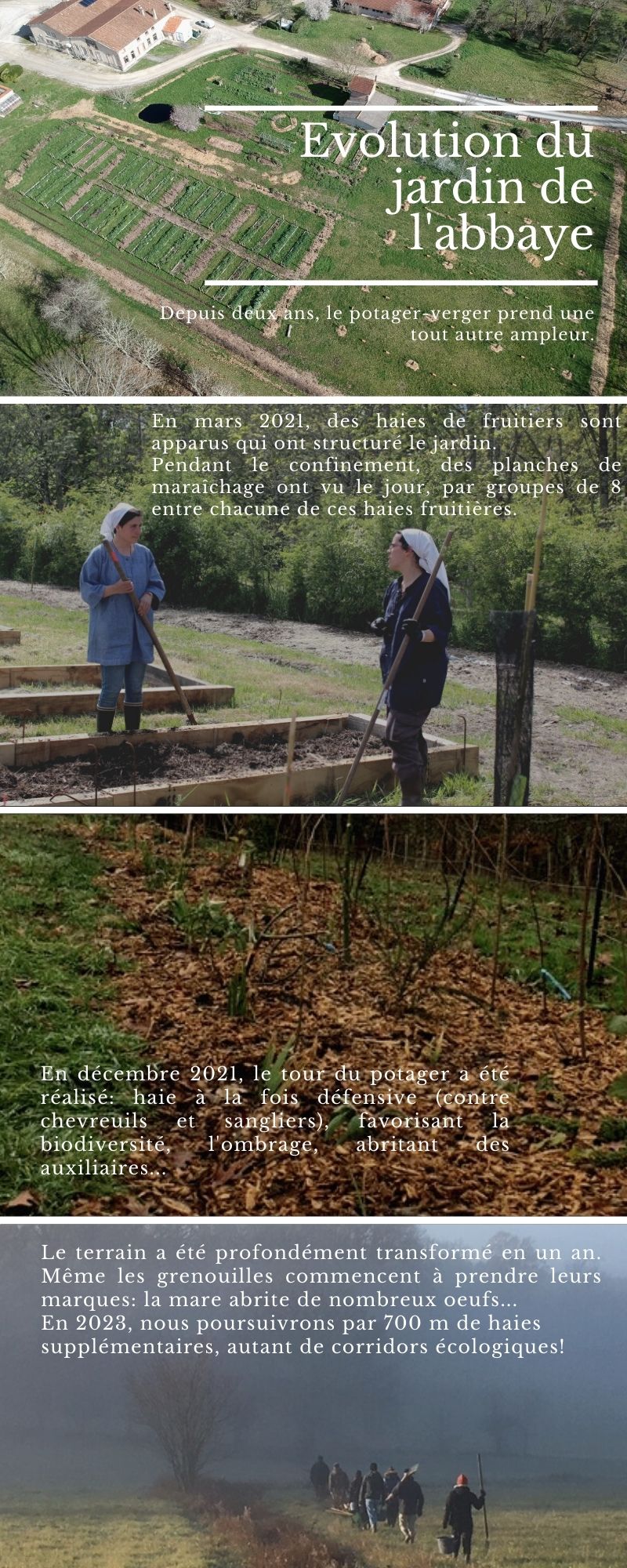 Nouvelles du potager